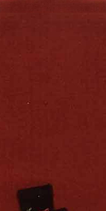 Snow Guy Towel - Set of Two - Home Collections by Raghu