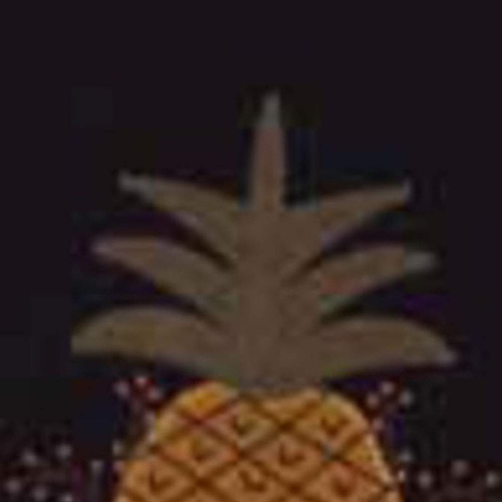 Black Pineapple Welcome Towel Set Of Two - Home Collections by Raghu